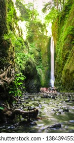 Lush Waterfall Oneonta Gorge Oregon