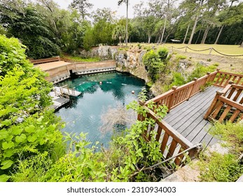 Lush woods surround the bright blue waters of the sinkhole and dive resort at Blue Grotto, Florida