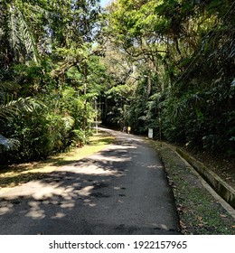 Lushes Trees If Bangsar Federal Hill