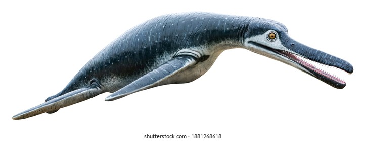 Luskhan is an extinct genus of Brachauchenine Pliosaur from the Cretaceous period, Luskhan isolated on white background with a clipping path