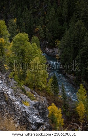 Lussier River in Whiteswan Provincial Park, Kootenay Rockies, British Columbia, Canada. Top view of autumn forest and turquoise water of the river