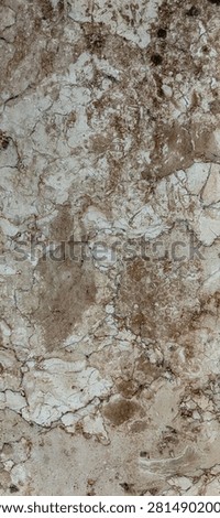 Lustrous Depth: A Macro Study of Polished Grey Granite

ABOUT

This image focuses on the sleek, reflective surface of polished grey granite, an igneous rock characterized by its interlocking crystalline structure. Unlike the previous organic and rough-hewn studies, this surface represents the intersection of geological history and human refinement. The composition highlights the distinct grains of quartz, feldspar, and mica, trapped beneath a high-gloss finish that creates a mirror-like sheen. The pattern is one of subtle complexity—a constellation of flecks and fissures frozen within a durable, monolithic material.

The visual focus is entirely on the contrast between the dark, depth-filled mineral inclusions and the smooth, cold surface polish. Without the context of its application, the material stands as an abstract landscape of greys, charcoals, and silvers. The interplay of light on the polished facets creates a mesmerizing depth, suggesting density and timelessness. It is a study of contrast: the chaotic, jagged nature of raw stone versus the smooth, controlled precision of industrial grinding and polishing.

For architects, interior designers, and graphic artists, this texture provides a clean, professional, and high-end aesthetic. It is perfect for projects requiring a sense of luxury, structural permanence, and material purity. Whether used as a digital backdrop for product mockups or as a source material for 3D rendering, this granite study offers a versatile and sophisticated pattern that emphasizes clarity, reflection, and modern elegance.