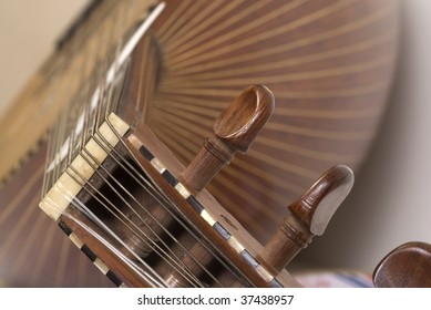 Lute Detail