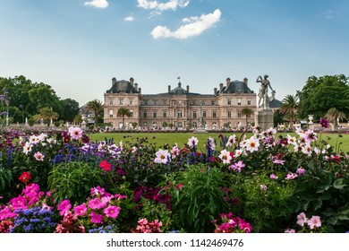 Luxembourg Park In Paris