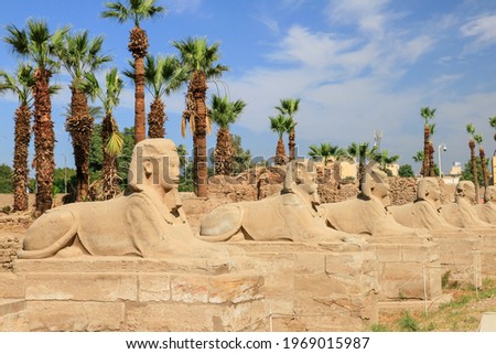Luxor dromos or row of sphinx statues at Karnak temple, Luxor, Egypt 