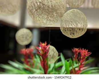 Luxurious decorations with flowers in Maui