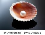 Luxurious elegance, precious jewelry and purity concept on oyster shell and smooth shining white pearl isolated on dark black glossy surface