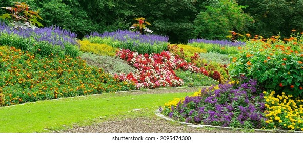 Luxurious flower bed in the summer city garden. Wide photo.
