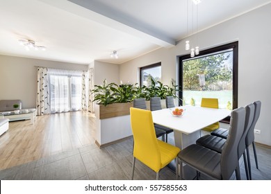 Luxurious Living Room With Dinning Table And A Fancy Flowering Plant