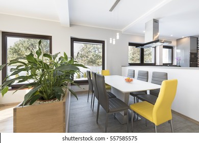 Luxurious Living Room With Dinning Table And A Fancy Flowering Plant