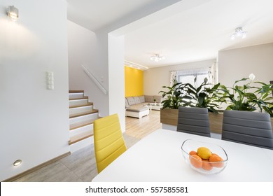 Luxurious Living Room With Dinning Table And A Fancy Flowering Plant