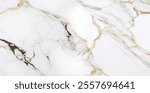 Luxurious white Carrara statuaries marble texture background. Calacatta glossy marble with golden streaks. Luxury White Gold Marble texture background vector. Luxurious floor marbling texture design.