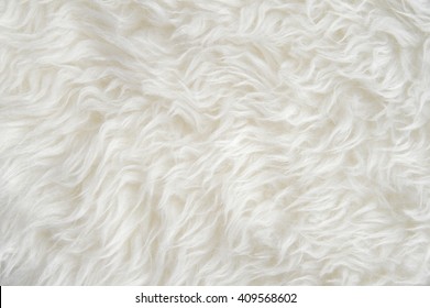 Luxurious Wool Texture From A  Sheepskin Rug