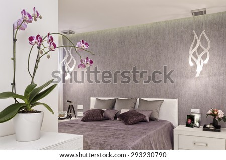 Luxury Bedroom Design 