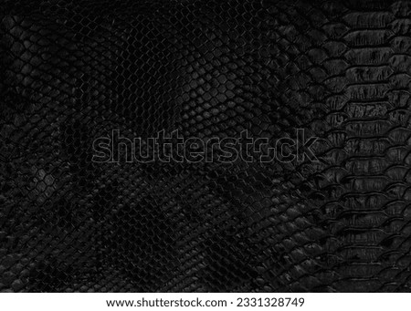 luxury black crocodile texture closeup. Natural crocodile skin background. wet leather skin 