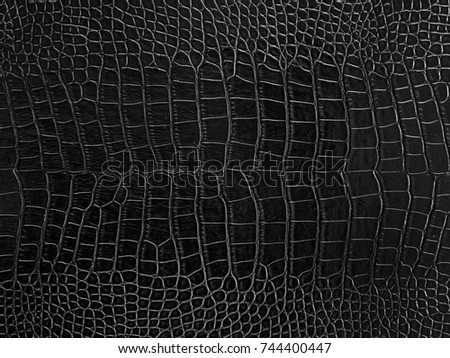 Stock Photo Close Up Of Black Luxury Crocodile Skin Leather For