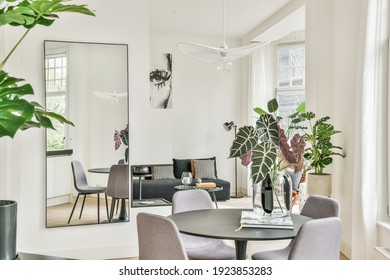 Luxury and bright living room interior design