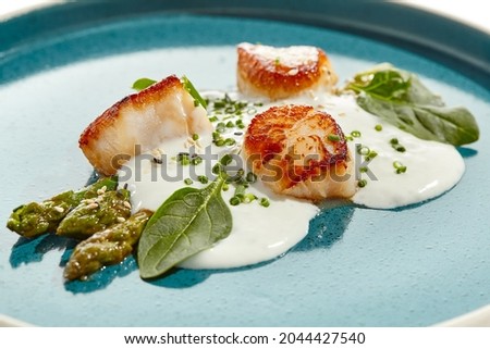 Luxury dish - grilled scallops with asparagus and creamy espuma. Roasted scallop with cream sauce and asparagus on white background. Delicacy seafood in restaurant menu -  sea scallop