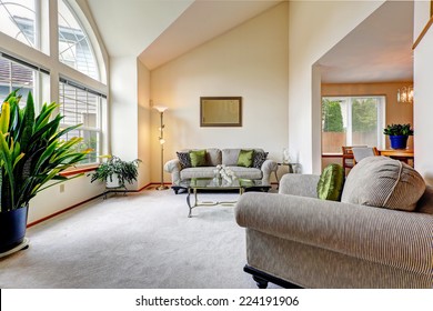 Vaulted Ceiling Living Room Images Stock Photos Vectors