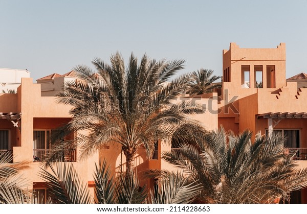 Luxury holiday\
villa with palm tree in\
Egypt
