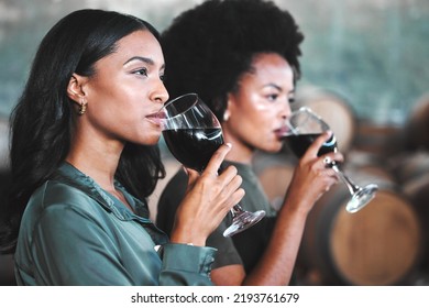 Luxury, Hospitality And Friends At Wine Tasting Event, Drink And Enjoying New Experience Together In A Vineyard Cellar. Diverse Women Bonding While Trying And Testing The Quality Of A Popular Blend