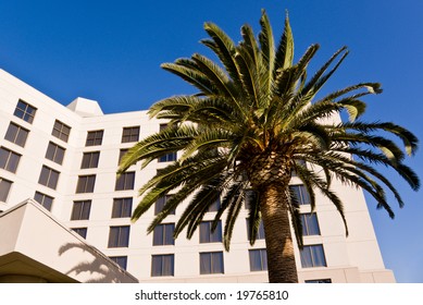 Luxury Hotel Entrance In Los Angeles