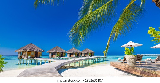 Luxury hotel with water villas and palm tree leaves over white sand, close to blue sea, seascape. Beach chairs, beds with white umbrellas. Summer vacation and holiday, beach resort on tropical island - Shutterstock ID 1932636107