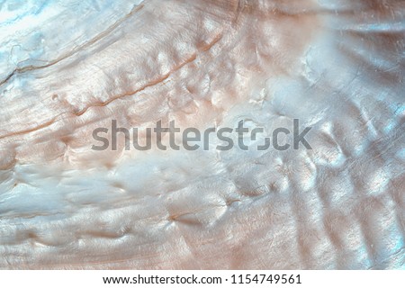 luxury nacre seashell background texture close up