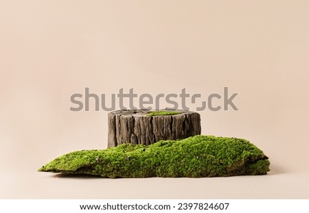 Luxury old wooden cut, bark tree pedestal podium with green moss composition on beige background product display for organic eco cosmetic and skin care 
