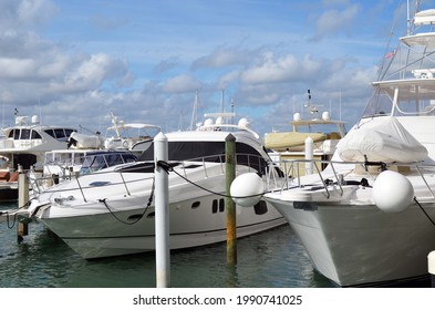 Luxury Recreational Boats Moored At A Marina In Southeast Florida.