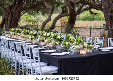 A Luxury Table Set For Dinner In The Middle Of A Farm With Trees And Natural Decorations