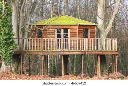 Luxury Tree House In The Woods