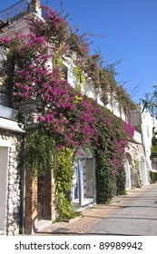 Luxury Villa In Capri, Italy