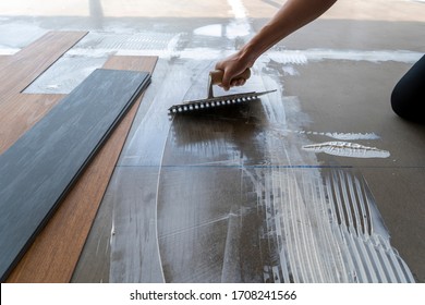 189 Vinyl Floor Perspective Stock Photos, Images & Photography ...