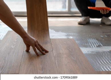 Luxury Vinyl Floor Tile Collection : Contractor Team Working On Site Taking Step Of Vinyl Installation By Laying Vinyl Sheet Tiles On Notched Trowel Glue Area , Floor Decorate Business 