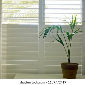 Luxury white indoor plantation shutters