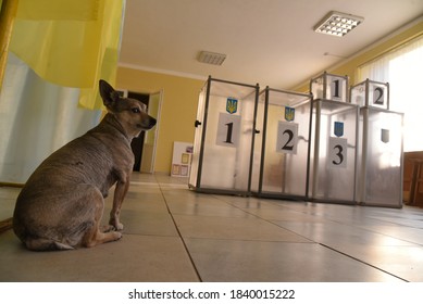 Lviv, Ukraine, 19 July 2019. Ukraine local elections 2020. A dog is seen at empty polling boxes at polling station. 