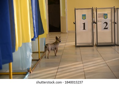 Lviv, Ukraine, 19 July 2019. Ukraine Local Elections 2020. A Dog Is Seen At Empty Polling Boxes At Polling Station. 