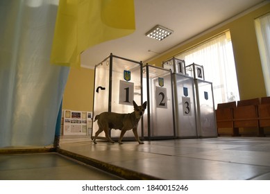 Lviv, Ukraine, 19 July 2019. Ukraine Local Elections 2020. A Dog Is Seen At Empty Polling Boxes At Polling Station. 