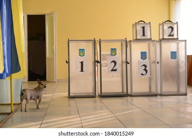 Lviv, Ukraine, 19 July 2019. Ukraine Local Elections 2020. A Dog Is Seen At Empty Polling Boxes At Polling Station. 