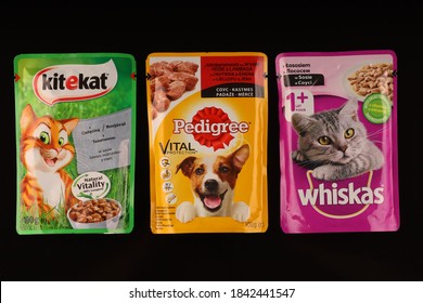 Download Dog Food Mockup Hd Stock Images Shutterstock