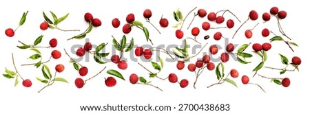 Lychee fruit on white background.