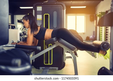 Lying Hamstring Curl Machine Girl