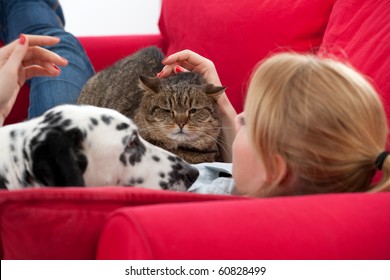 lying on red sofa young woman with  cat and dalmatian dog