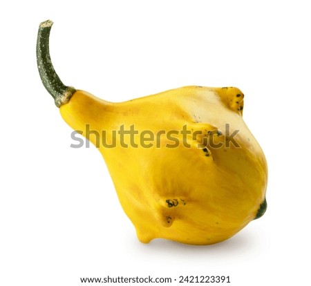 Lying on its side yellow decorative gourd. Isolated on white background with soft shadow.