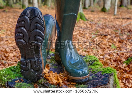 A lying and a standing rubber boot in the autumn forest. For hunters, hikers and everyone who likes to be in nature, rubber boots are the right shoes, waterproof, robust and non-slip soles.