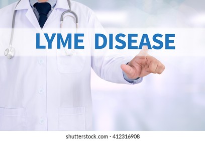 Lyme Disease Medicine Doctor Working Computer Stock Photo 412316908 ...