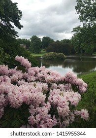 Lyme Park National Trust Flowerd