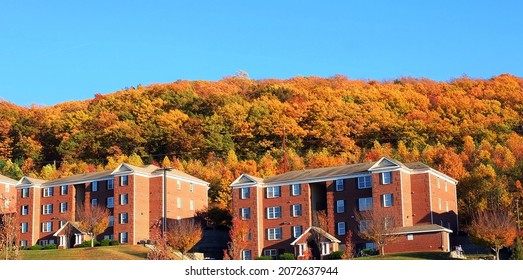 Lynchburg, Virginia USA - November 10, 2021: Fall Foliage on Candler's Mountain in Lynchburg, Virginia.
