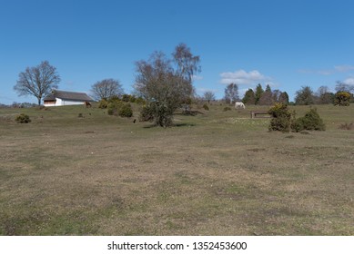 Lyndhurst Park Walks
